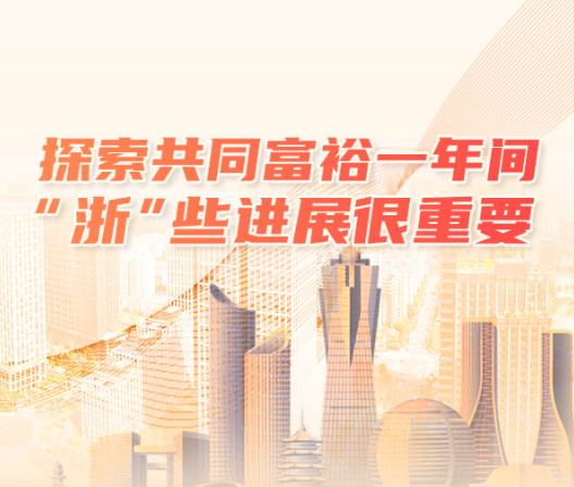 探索共同富裕一年间 “浙”些进展很重要