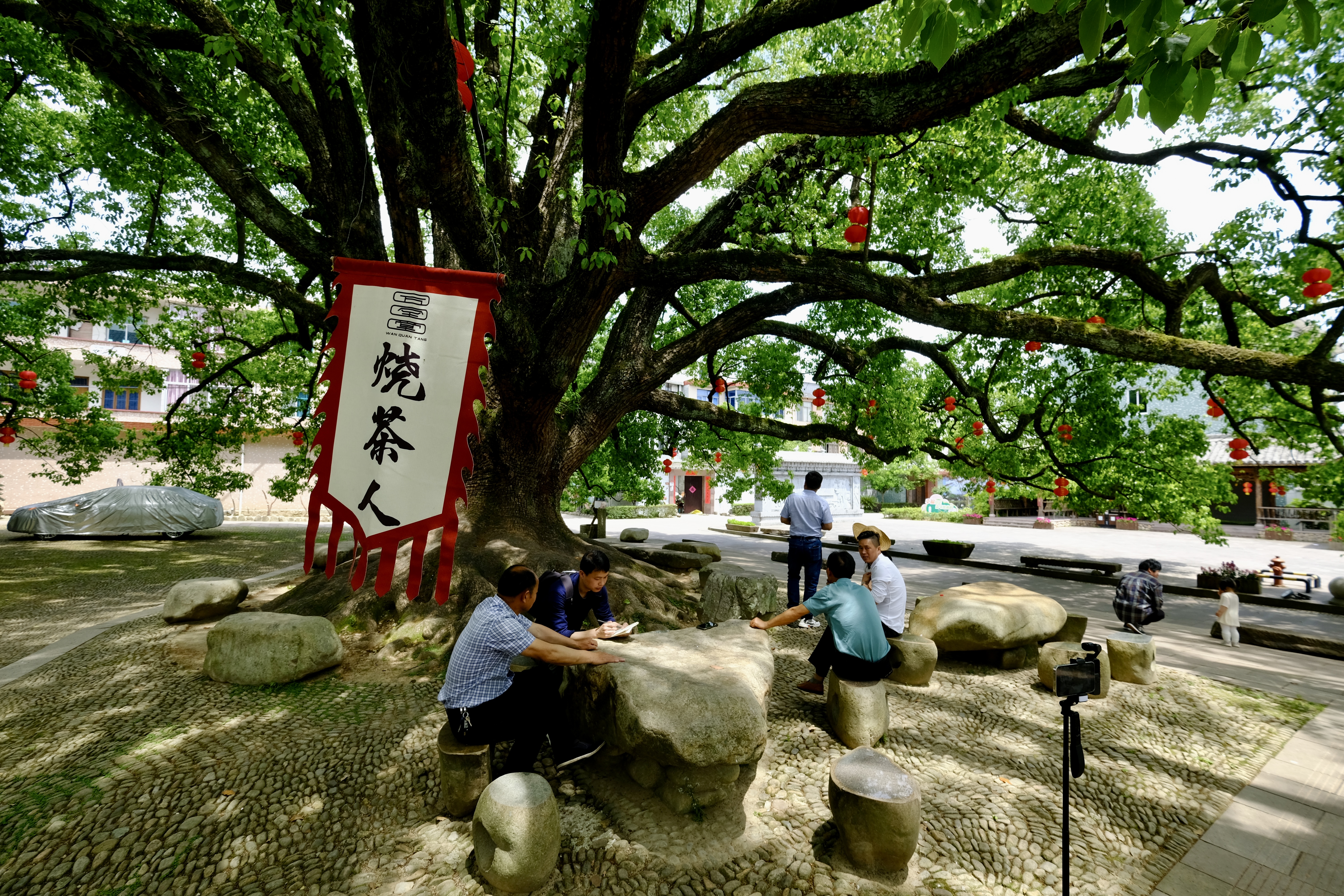 留住悠长岁月，拥抱共同愿景，一个山窝窝的“未来乡村”蓝图