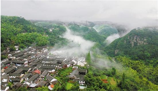 余姚四明山老区以多种模式推动红绿资源转化：一把“金钥匙”，打开阿拉致富门