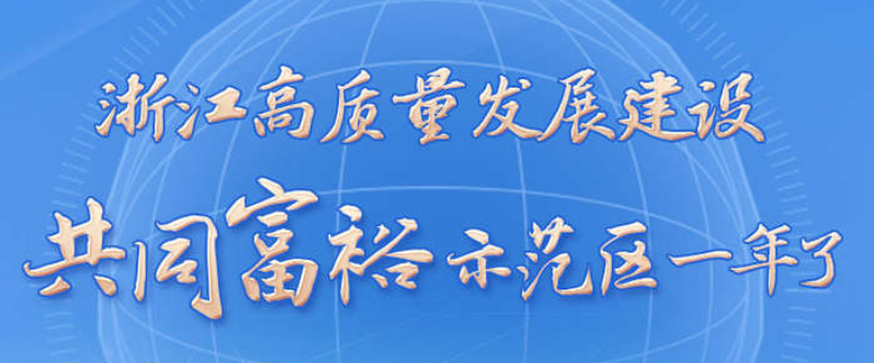 浙江高质量发展建设共同富裕示范区一年了，袁家军书记这样总结