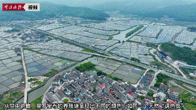 鄞州咸祥这片“调色盘”，绘就渔民致富路