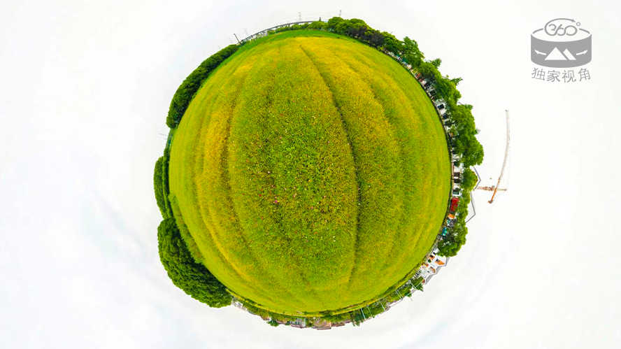 360° | 又是繁花盛开时！这片村中的花海仿佛被溅上五彩颜料