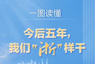 一图读懂丨今后五年， 我们“浙”样干
