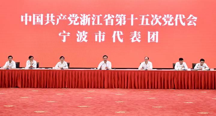 王浩参加宁波代表团审议：在“两个先行”中勇担当作表率