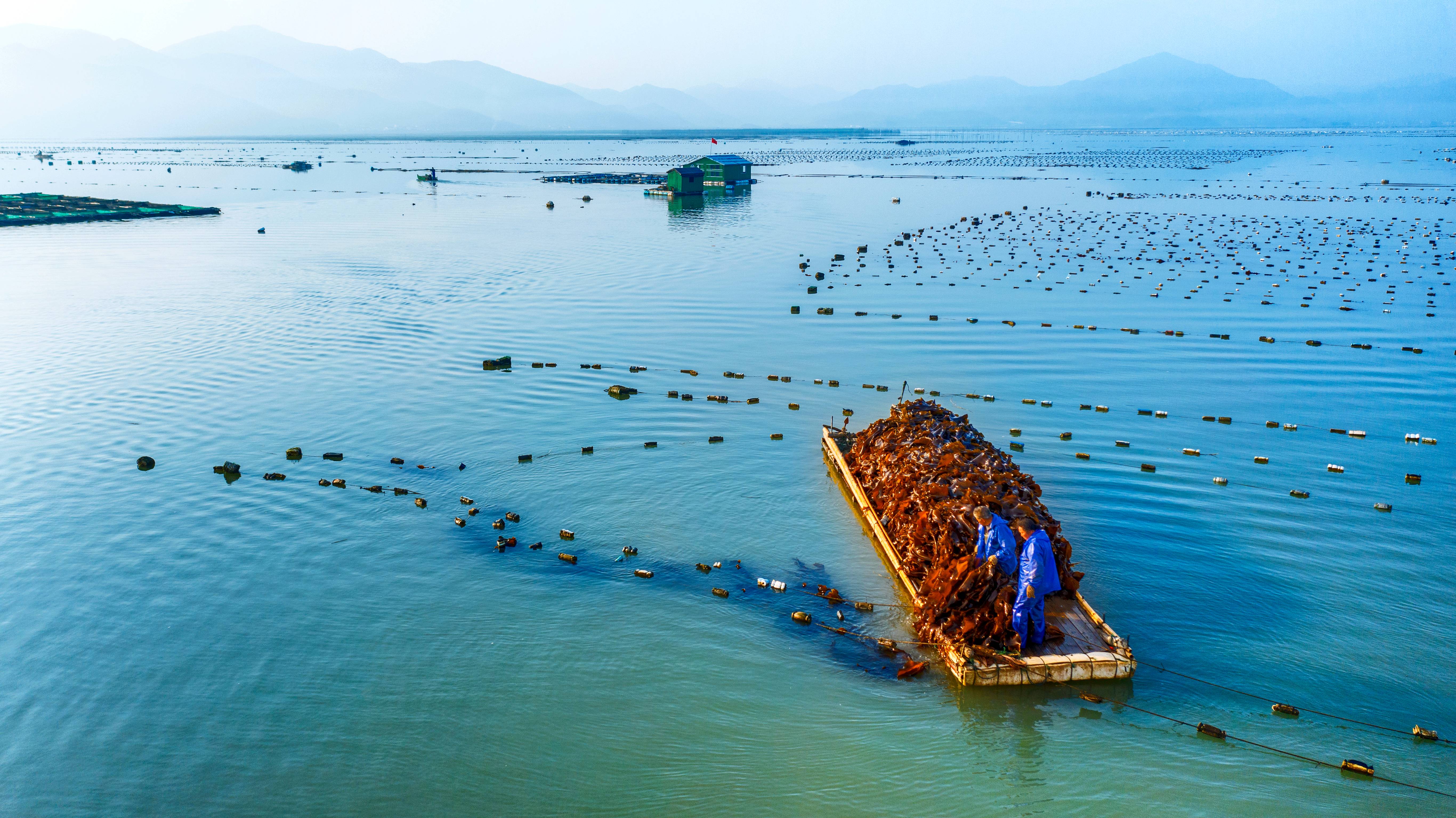 共富图景（12）：海水正蓝