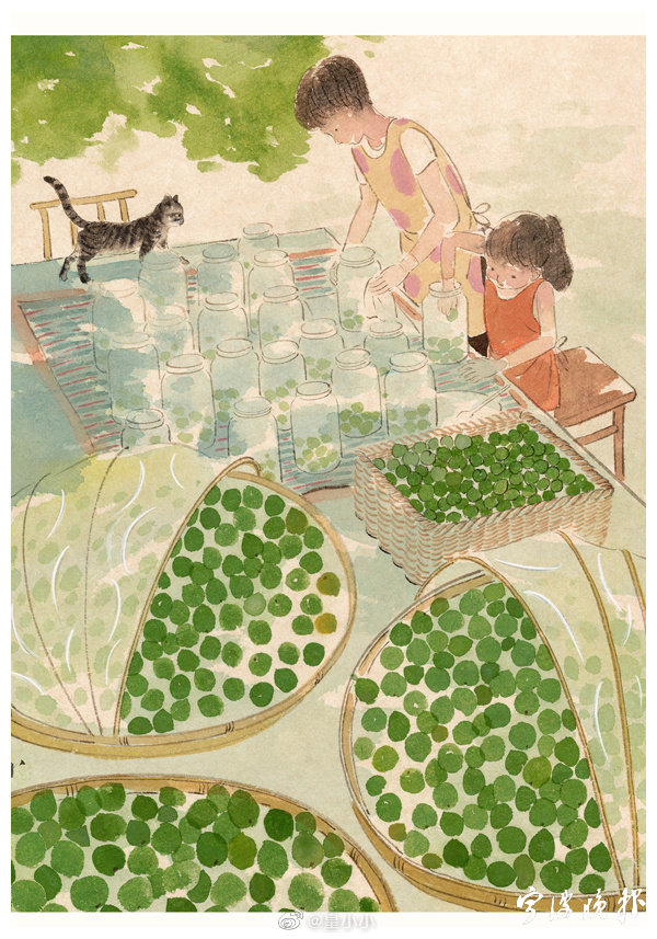 自由式插画师"皇小小"作品