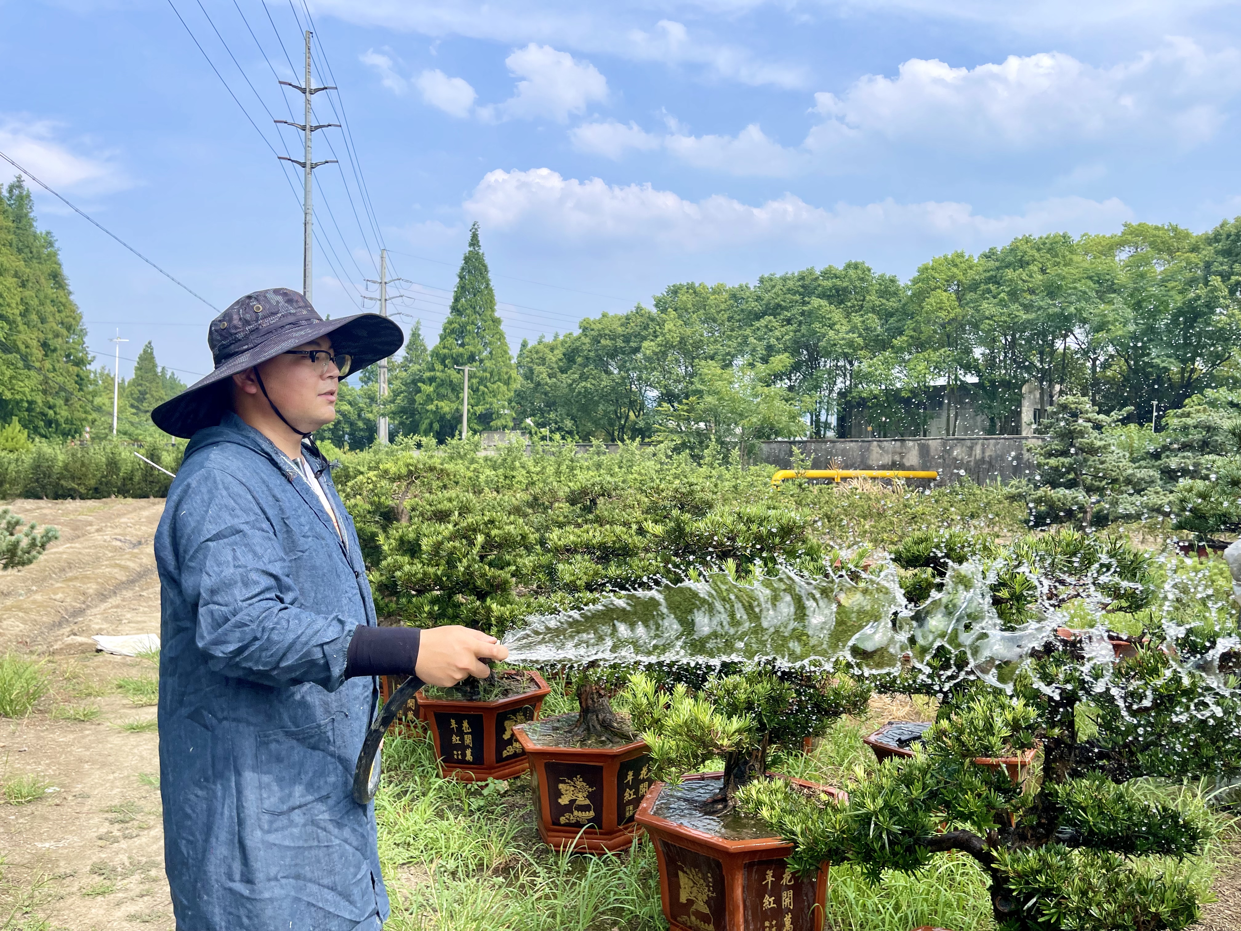 卷起裤脚走进田间地头，宁波90后“海归”有个“花木梦”