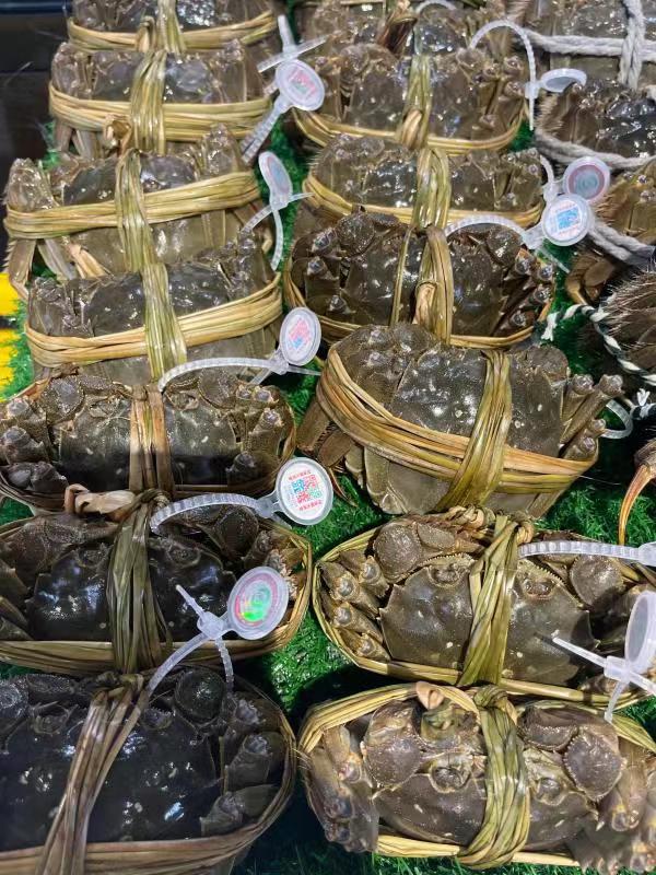 国庆节前逛市场：东海海鲜销量大增  鱼类蟹类蛮实惠