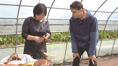 American Expat Savors：Lingzhi and Locally Grown Fruits at Ningbo Village