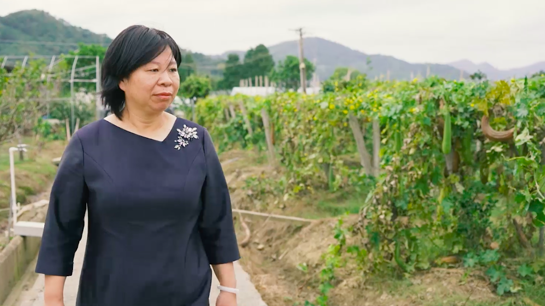 让灵芝和凤梨“联手”，她用新型种植模式助力宁波乡村振兴