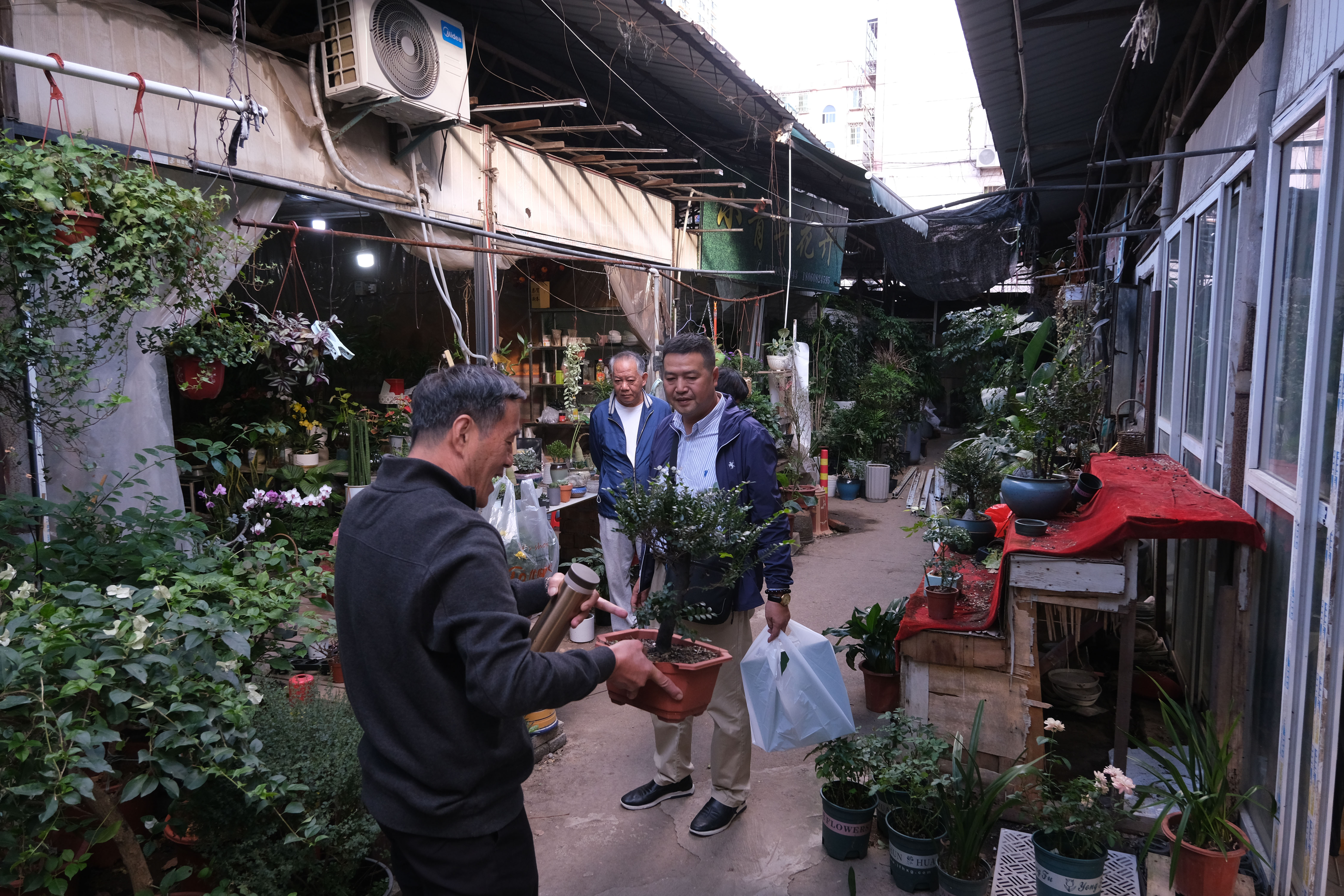 宁波张斌桥花鸟市场图片