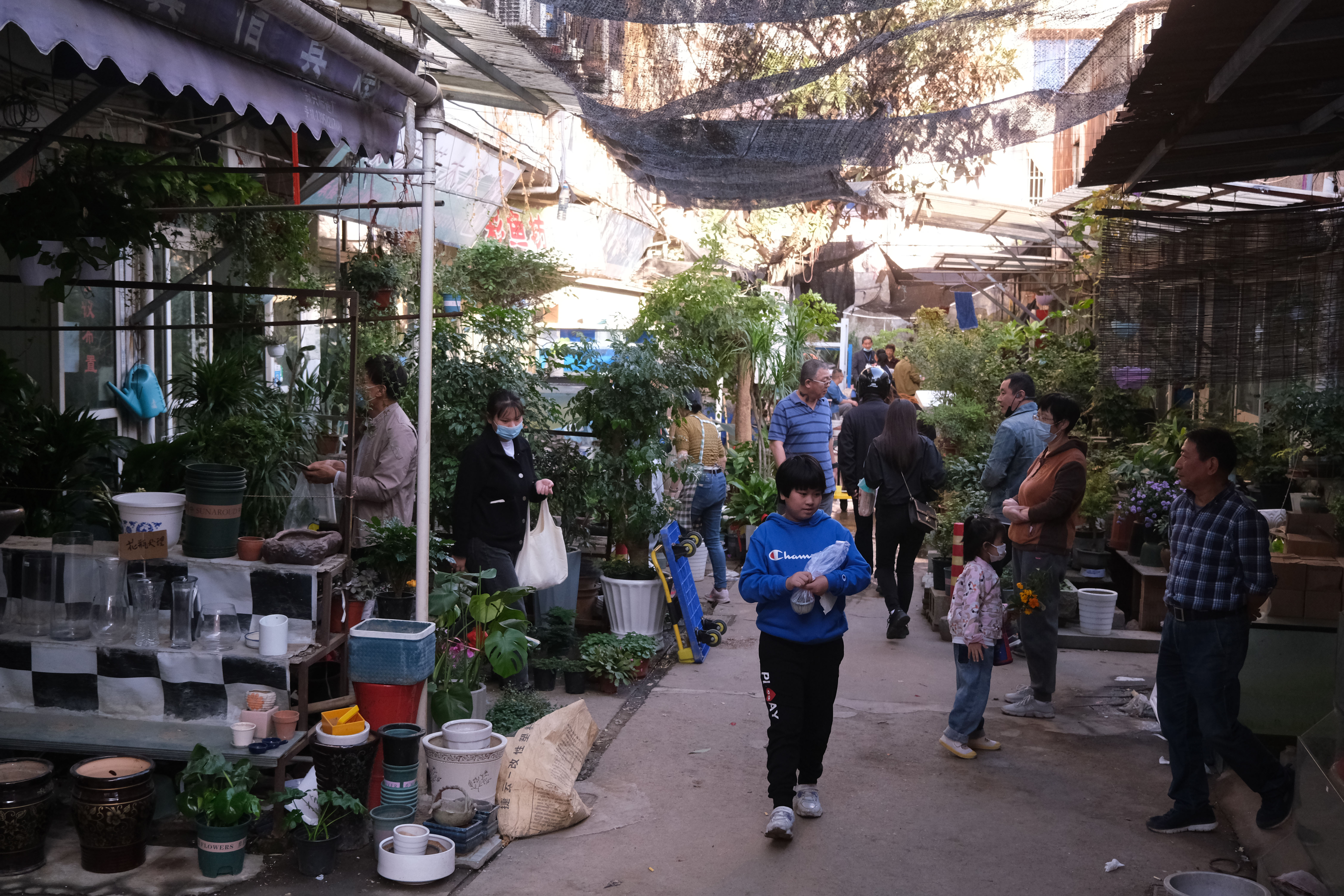 宁波张斌桥花鸟市场图片