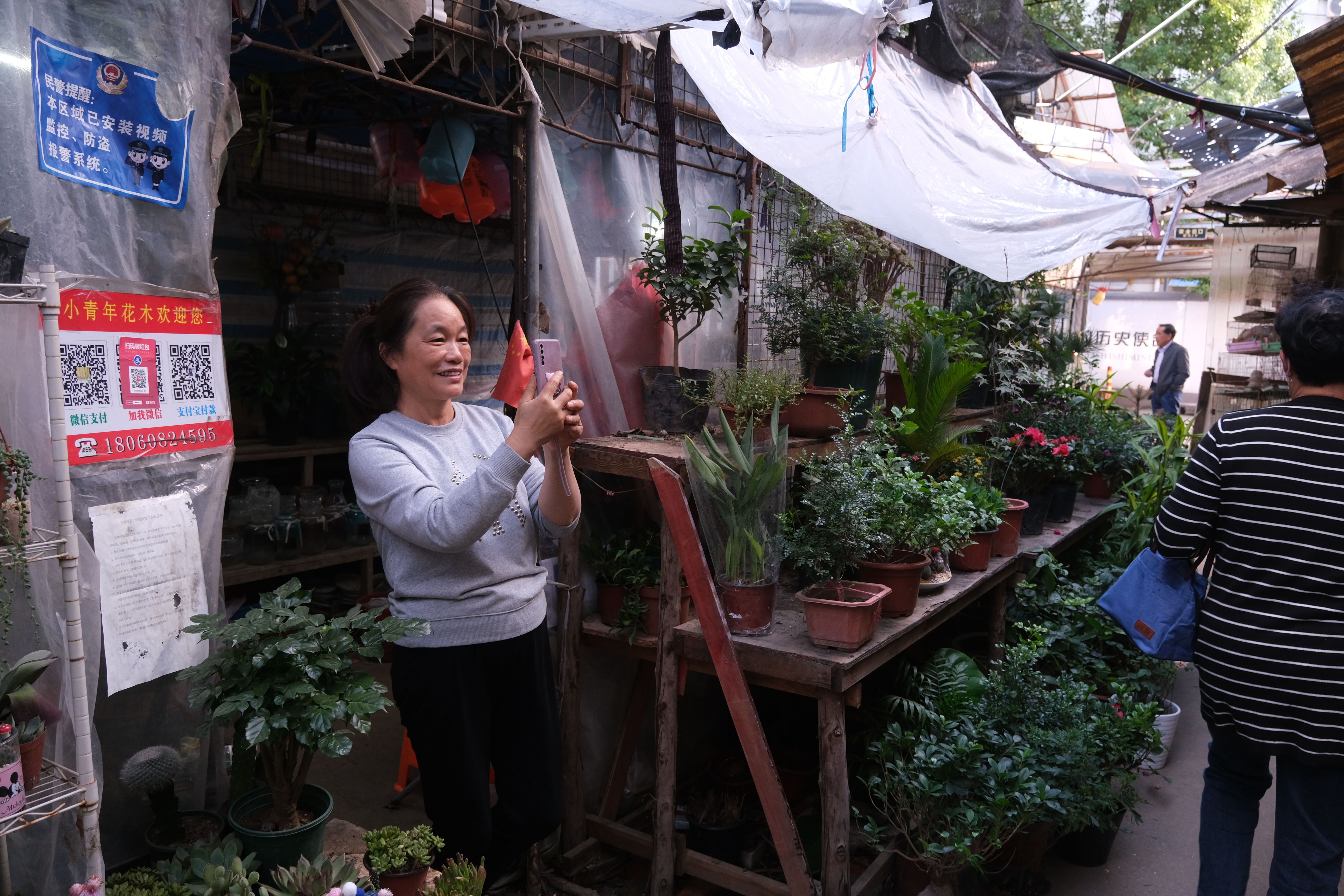 宁波张斌桥花鸟市场图片