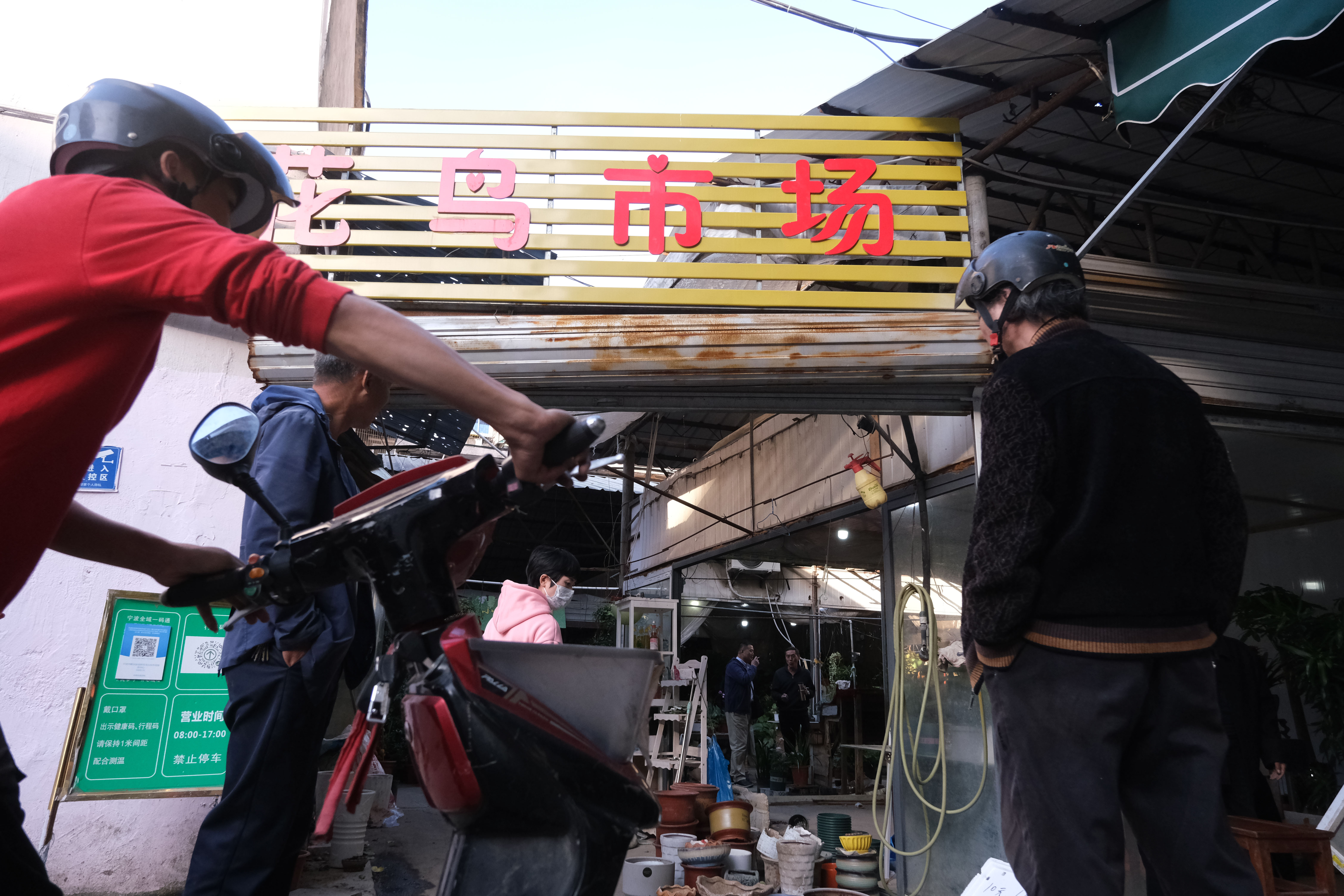 宁波张斌桥花鸟市场图片