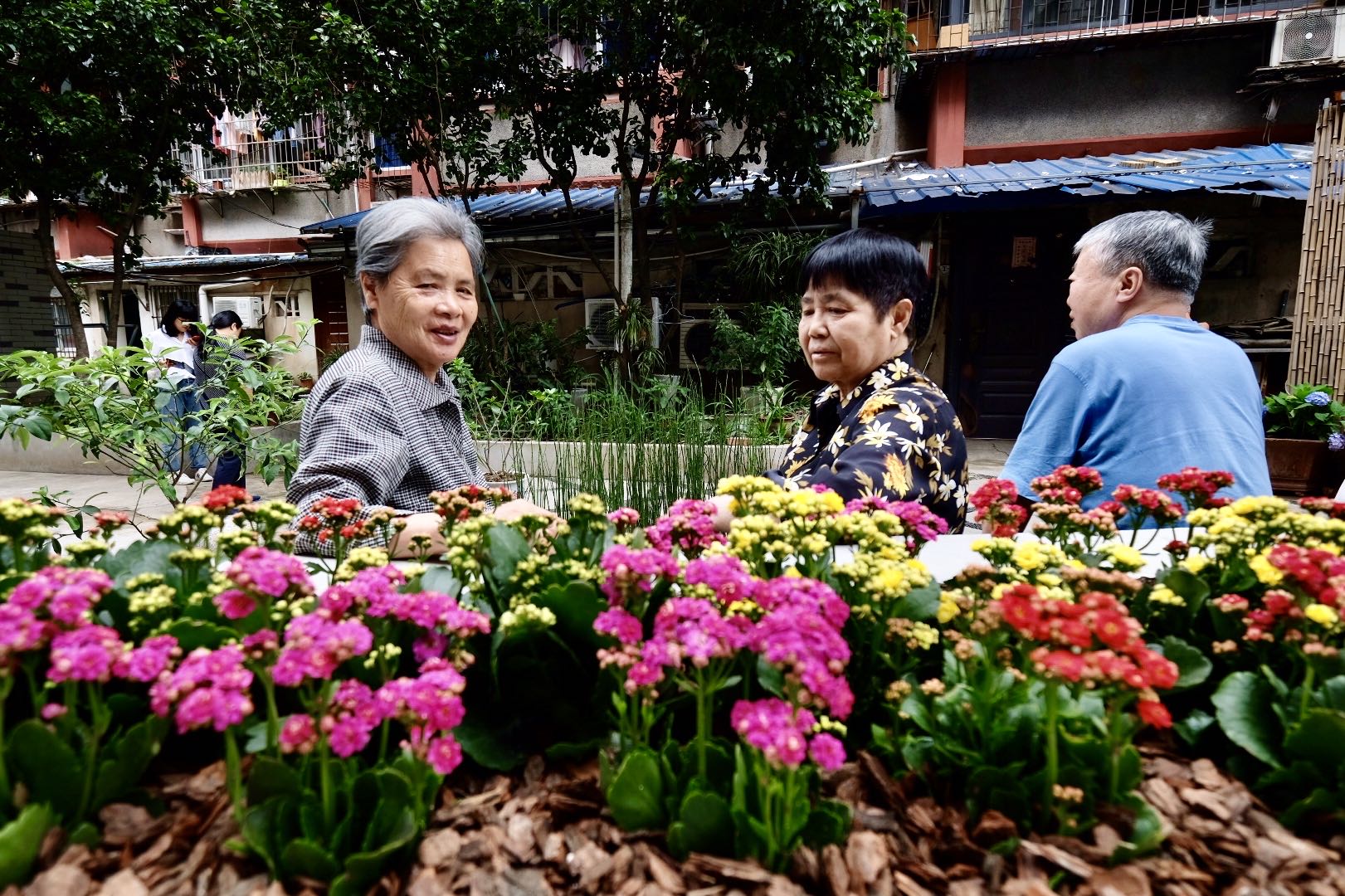 创意点亮城市角落，“共享花园”在宁波遍地开花