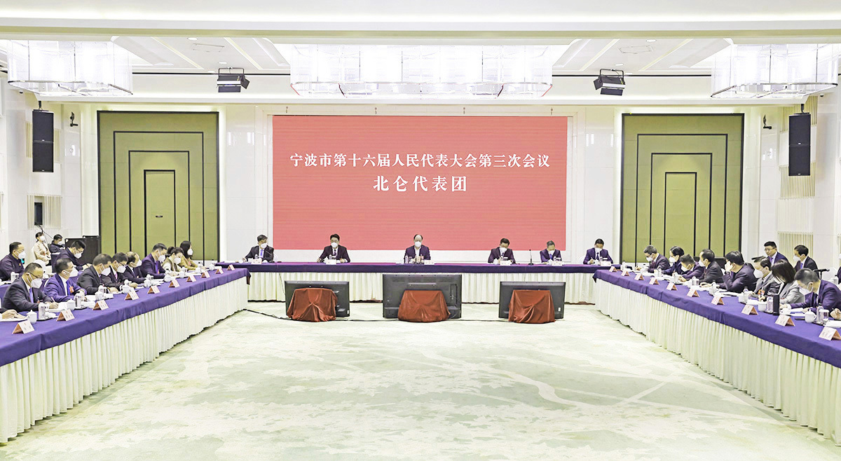 彭佳学参加北仑代表团审议：在新时代新征程上勇挑大梁 在抢先机育新机中勇立潮头