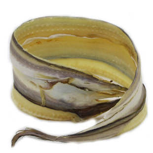 何良京|新风鳗鲞胜如鸡 - 宁波都市传媒网