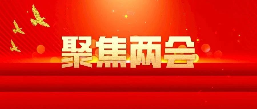 聚焦两会 | 全国两会上的宁波“她”面孔